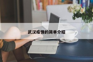 武汉疫情的简单介绍