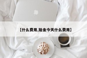 【什么费用,铂金今天什么费用】