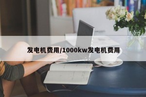 发电机费用/1000kw发电机费用
