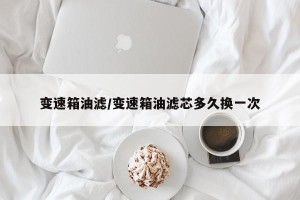 变速箱油滤/变速箱油滤芯多久换一次