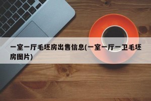 一室一厅毛坯房出售信息(一室一厅一卫毛坯房图片)