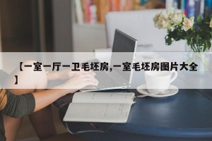 【一室一厅一卫毛坯房,一室毛坯房图片大全】