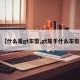 【什么是gt车型,gt属于什么车型】