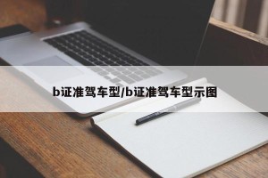 b证准驾车型/b证准驾车型示图