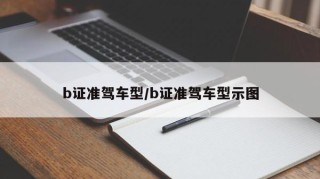 b证准驾车型/b证准驾车型示图