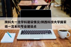 陕科大一流学科建设情况/陕西科技大学国家级一流本科专业建设点