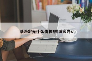 陆派宏光什么价位/陆派宏光s
