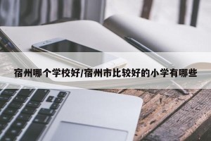 宿州哪个学校好/宿州市比较好的小学有哪些