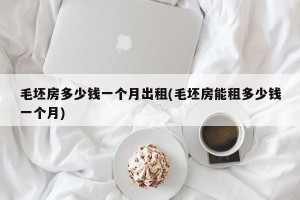 毛坯房多少钱一个月出租(毛坯房能租多少钱一个月)