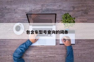 包含车型号查询的词条