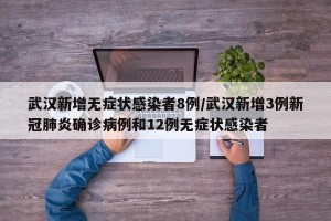 武汉新增无症状感染者8例/武汉新增3例新冠肺炎确诊病例和12例无症状感染者