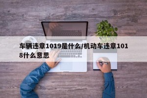 车辆违章1019是什么/机动车违章1018什么意思
