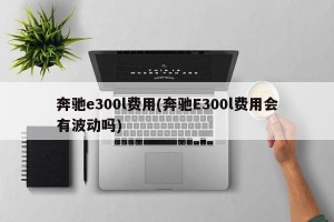 奔驰e300l费用(奔驰E300l费用会有波动吗)