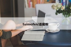tuimofen/退魔粉
