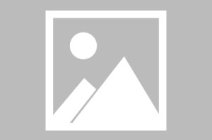 今日河北唐山疫情最新消息/今日河北疫情进展消息